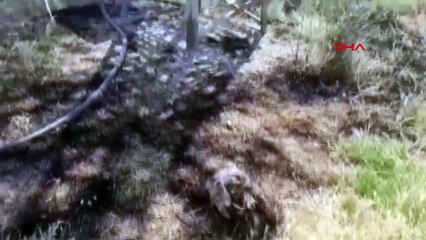 Perte d'un million de TL dans un incendie causé par l'entrée d'Eagle dans le transformateur