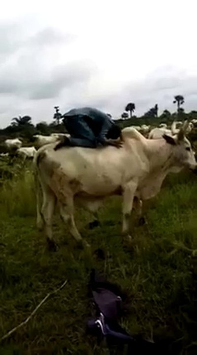 VID-20230707-WA0005