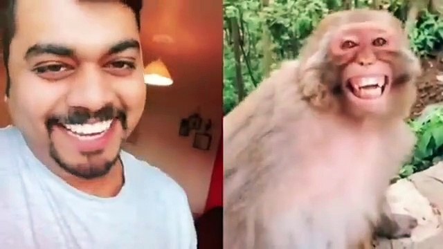 Troll Prank Dog Funny _ fake Lion and Fake Tiger Prank To dog _ Huge Box Prank to dog(360P)