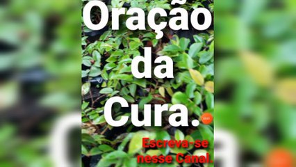 Oração da Cura. Bênçãos de Deus.