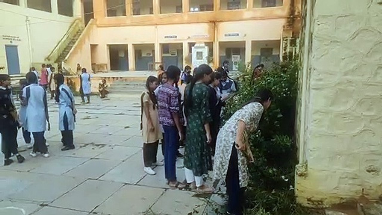 नो बैग डे बना हेल्प डे