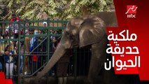 مين اللي هيدفع ثمن تطوير حديقة الحيوان ؟ .. د. إيهاب صابر رئيس الهيئة العامة للخدمات البيطرية يوضح