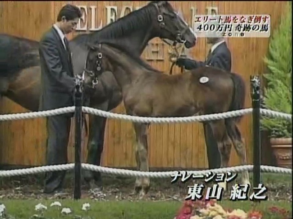 【競馬】 コスモバルク 人間解析ドキュメント ZONE 第201回 「北海道競馬の夢と希望 コスモバルク」（2004.04.25 TBS O.A）[640x480 DivX 5.05 MP3 96kbps 24m19s]P&P