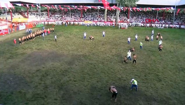 Kırkpınar'da çeyrek finale yükselen Başpehlivanlar belli oldu