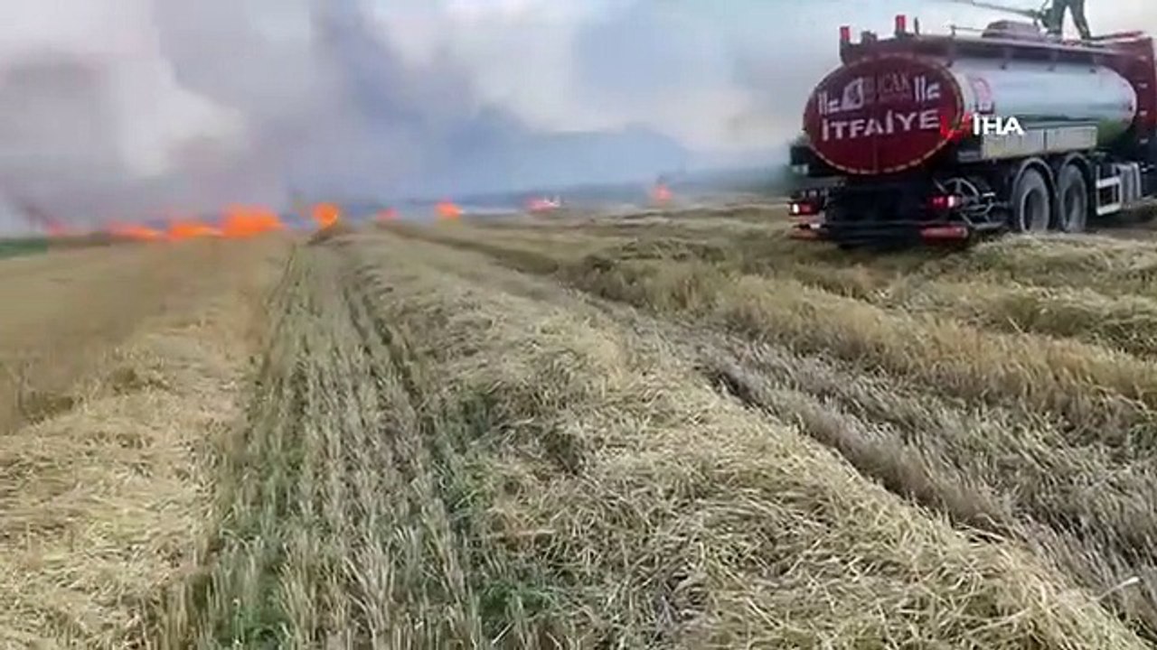 800 décares de terres plantées ont été détruits...