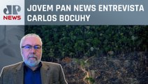 Como o Brasil deve avançar na preservação da Amazônia? Presidente do Proam explica