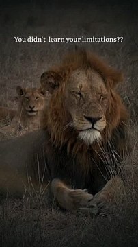 You didn't learn your limitations RRM I HAVE NO LIMITATIONS #Shorts #Youtubeshorts