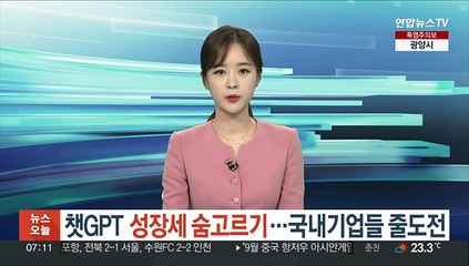 챗GPT 성장세 숨고르기…국내기업들 줄도전