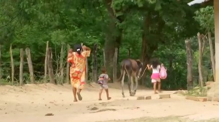 La corrupción continúa generando una constante preocupación en la economía colombiana