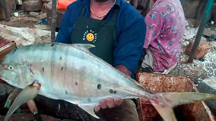 FISH CUTTING _ India Market