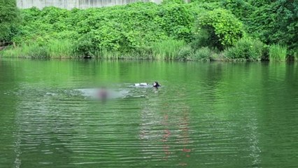 공주 유구천에서 물놀이하던 중학생 숨져 / YTN