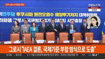 민주-IAEA 사무총장 면담…'양평고속도로' 공방 계속