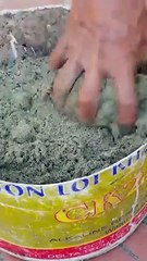 Grow Potatoes Fast and Easily- Beginner Tips for Getting Tons of Tubers!