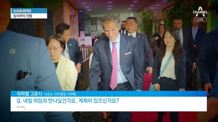 민주, IAEA 사무총장 면담…오염수 방류 반대 의사 전달