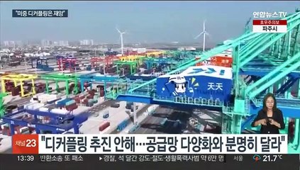 옐런 "미중 디커플링은 재앙…이견 속 일부 진전 이뤄"