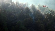 Antakya'da Ormanda Çıkan Yangın Söndürüldü