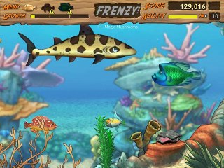 Feeding Frenzy 2 - Game Stage 11 full
