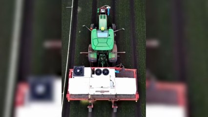 ABD'de, yapay zeka ile yabani otları temizleyen makine üretildi