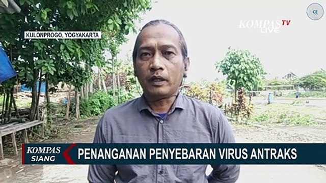 Wabah Merebak, Peternak di Pasar Hewan Siyono Harjo Gunungkidul Tak Paham Ciri Antraks