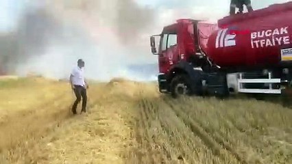 850 décares de champs de céréales ont été détruits dans l'incendie de Bucak