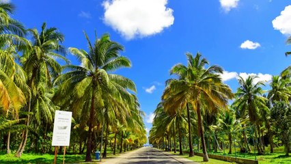 Beautiful Maldives & Relaxing Sleep Music