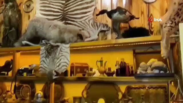 Opération de contrebande à Maltepe： Un grand nombre de fusils, de pistolets et de peaux d'animaux ont été saisis