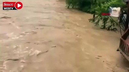 Yavru köpek, odun parçaları üzerinde sel sularıyla ilerledi