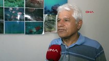 prof. Dr. Gökoğlu：Réaction à la chasse aux requins