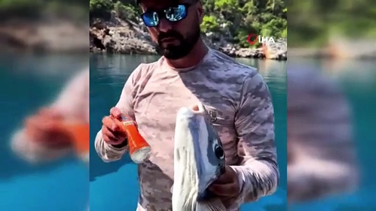 Il a mangé la boîte comme un cracker, avertissant l'expert 'Méfiez-vous si vous vous faites prendre'