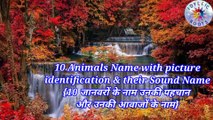 Animals name and sound name, learn animals name identification with sound name, animals sound, animals name and sound