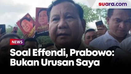 Ungkap Opini Pribadi Tokoh yang yang Layak Jadi Presiden, Effendi Simbolon Dipanggil DPP PDI, Prabowo: Bukan Urusan Saya