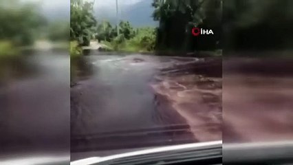 Les déchets toxiques des usines se sont déversés dans les vergers de poiriers