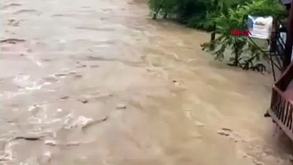 La montée des eaux à Melen Stream avec de fortes pluies à Düzce met le chien en danger