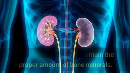 10 Warning Signs your kidney is Struggling