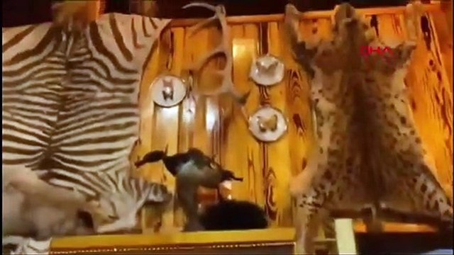 Opération d'armes et d'artefacts historiques à Maltepe