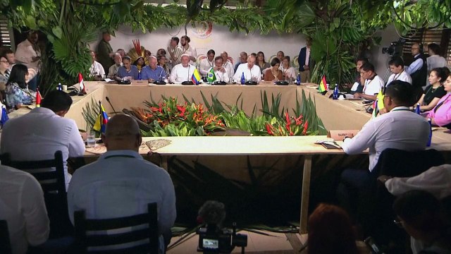 Staaten des Amazonas-Gebiets beraten über Rettung des Regenwaldes