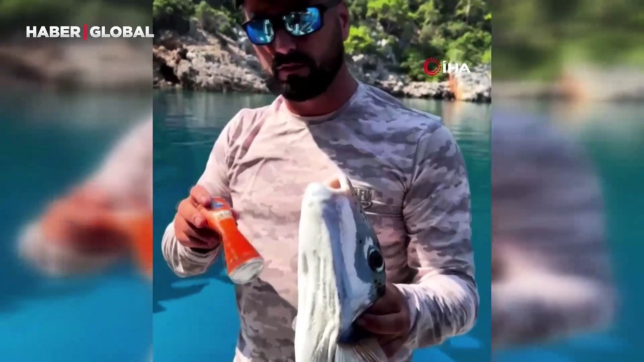 Şaşırtan anlar: Tenekeyi kraker gibi bir anda yedi! Uzmanından 'bu balığa dikkat edin' uyarısı geldi
