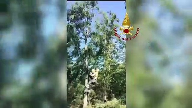 Escursionista disperso nel Casentino, arriva l'elicottero dei vigili del fuoco