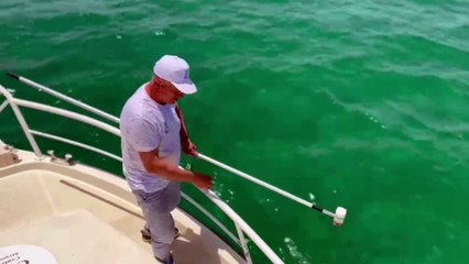 Mare sporco in Calabria, prelievi e controlli col drone