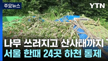 나무 쓰러지고 산비탈 무너지고...하천 통제에 야외행사 차질 / YTN