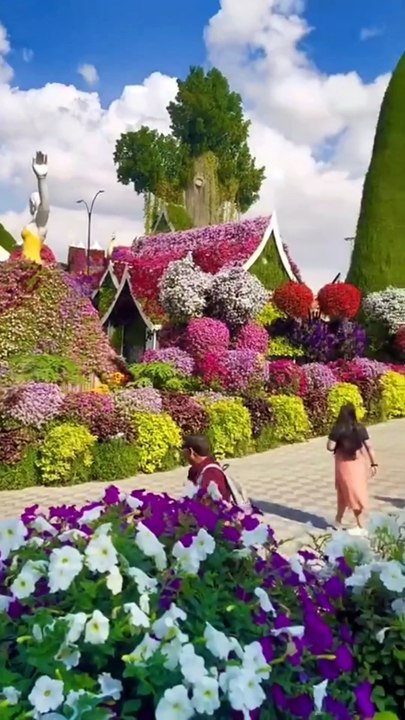 Beautiful Flower Garden | 4K HDR Video | Nature non stop entertainment