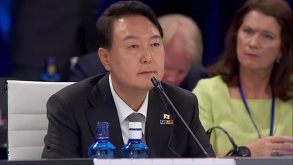 尹, 나토 참석차 내일 출국...10개국 이상과 양자회담 / YTN