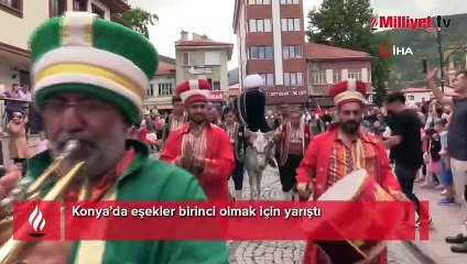 Eşekler birinci olmak için yarıştı