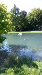 Parc du château de Vizille   Musée de la Révolution française Domaine de Vizille #vizille #france  (27)