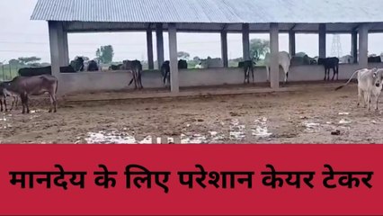 कानपुर देहात: पशु आश्रय स्थल का बुरा हाल, देखें वीडियो