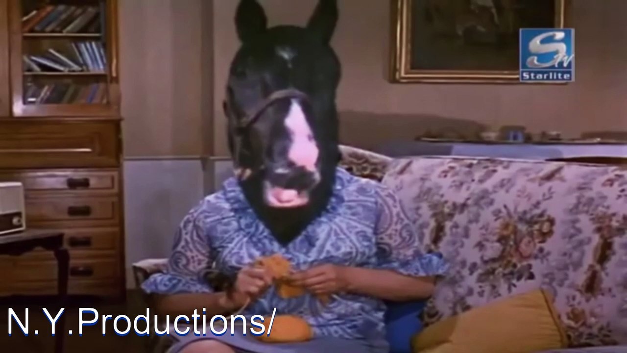 01009 - Punjabi Comedy Short Videos https://www.dailymotion.com/dm_hasaymakhol123 #PunjabiComedyVideo #punjabifunny Video #punjabicomedydubbed #viralpunjabivideos #viral #Trending #Pakistan #India #UnitedStates #Indonesia #PunjabiFunnyClip,  #punjabicomed