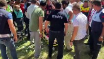 Edirne'de Kırkpınar Yağlı Güreşleri'nde ağaç devrildi: 2 kadın yaralandı