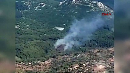 Muğla Milas'ta Orman Yangını Çıktı