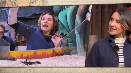 Fort Boyard la menace d’Alexia Laroche-Joubert à un membre de l’équipe avant sa participation