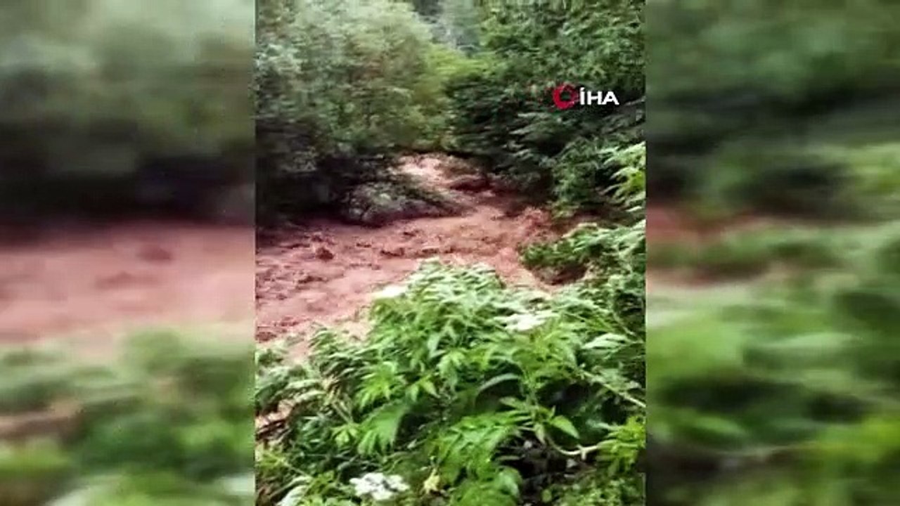 Artvin'de sağanak yağış sonrası dereler taştı, tarım arazileri zarar gördü